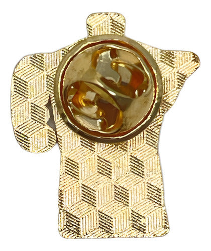 Pin SAROSA
