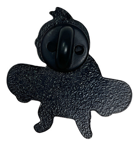 Pin SAROSA