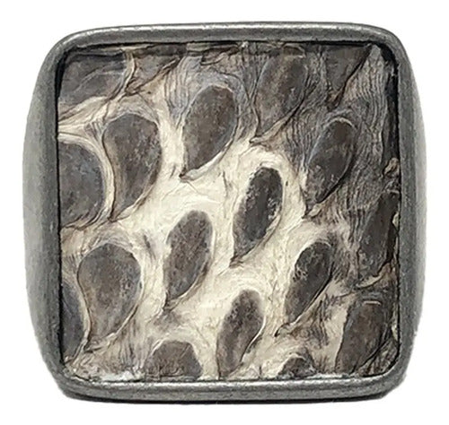 Anillo SAROSA
