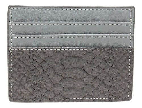 Cartera SAROSA